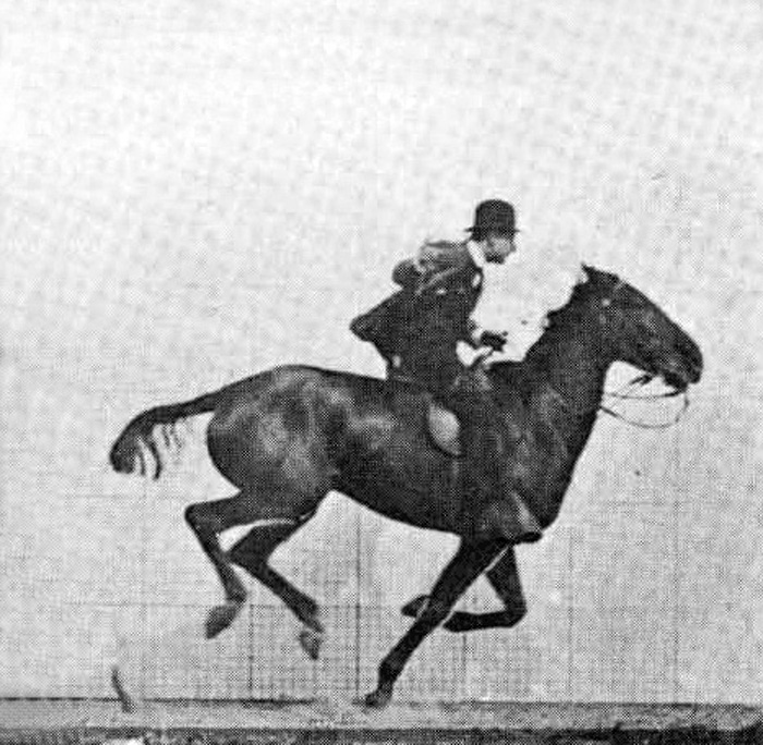 Comics Grinder Defined Comics Grinder